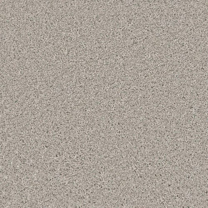 Windy City II in Antique Fresco Carpet
