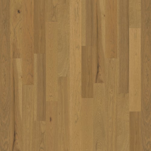 Backlands in Cibolo Hardwood