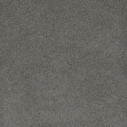 PALMETTO III in Bay Leaf Carpet
