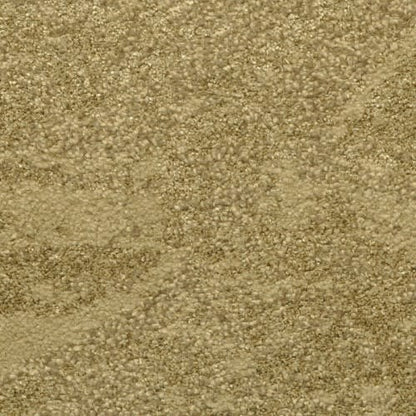 Bel Air in Palms Carpet