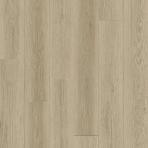 Avalon in Birch