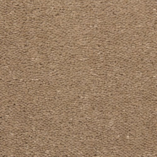 Bodega Bay