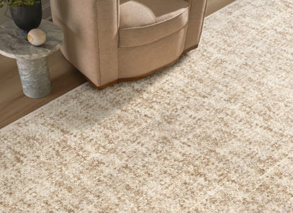 Brody