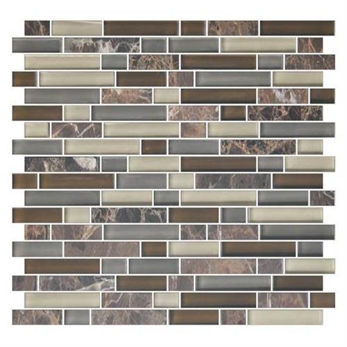 Color Appeal™ in Tortoise Shell Blend Random x 8