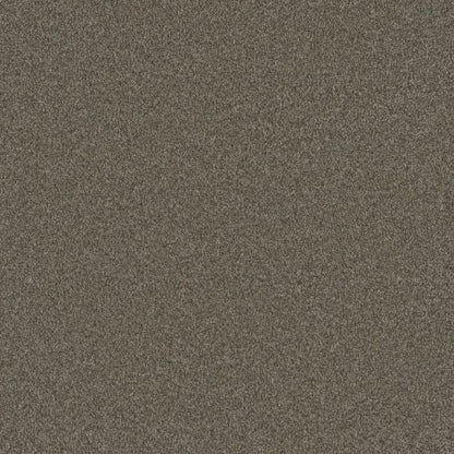 BLAZER II