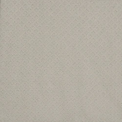 CAPRI in Cloud Nine Carpet