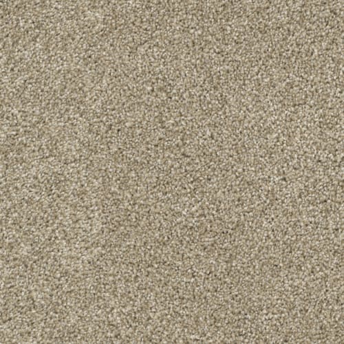 Game Plan in Pebble Carpet