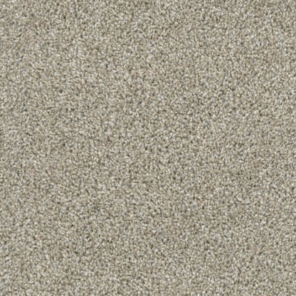 Big Idea in Opal Carpet