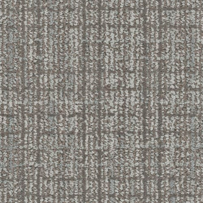 Charming in Chinchilla Carpet