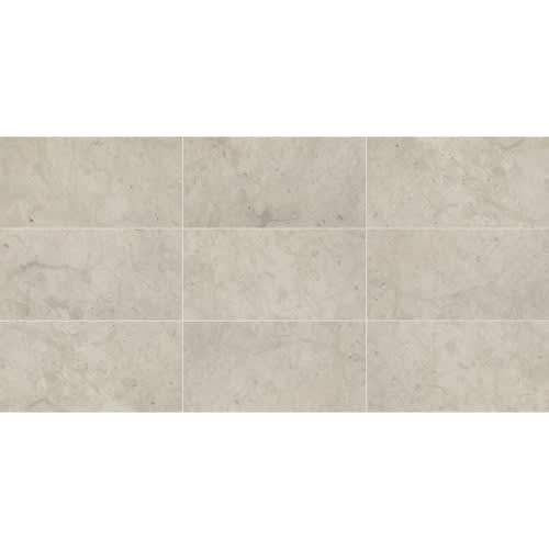 Limestone Collection in Volcanic Gray 12x24 Polished Natural Stone