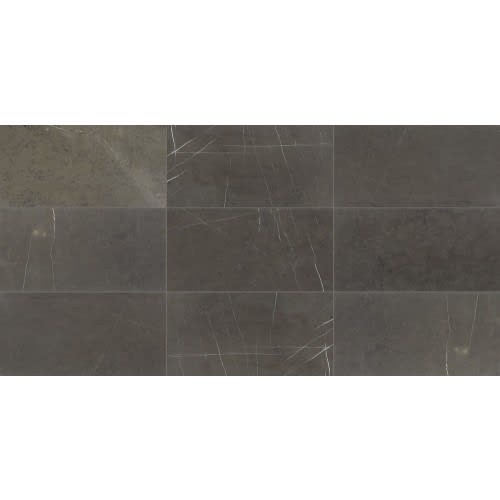 Marble Collection in Antico Scuro 8x36 Honed Natural Stone