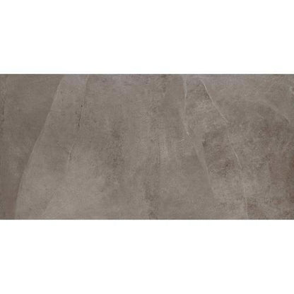 Delegate in Light Grey 12x24