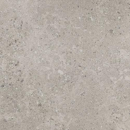 Dignitary in Superior Taupe 12x24