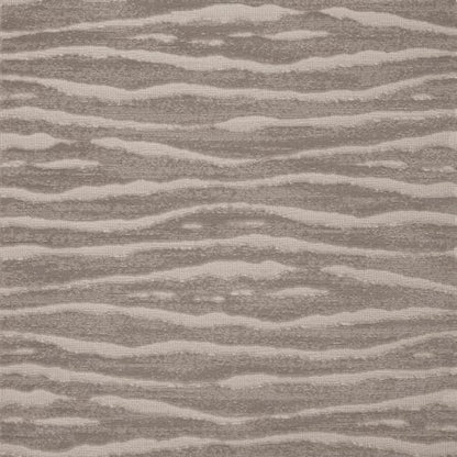 Delineate in Platinum Carpet