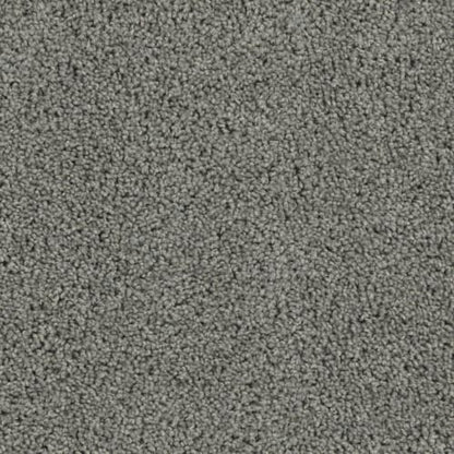 Daredevil in Bayside Carpet