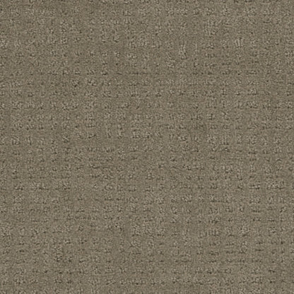 Pretty Special in Topaz Carpet