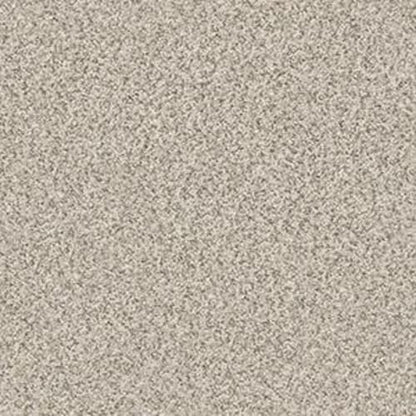 MAKE IT WORK in Nature's Essent Carpet