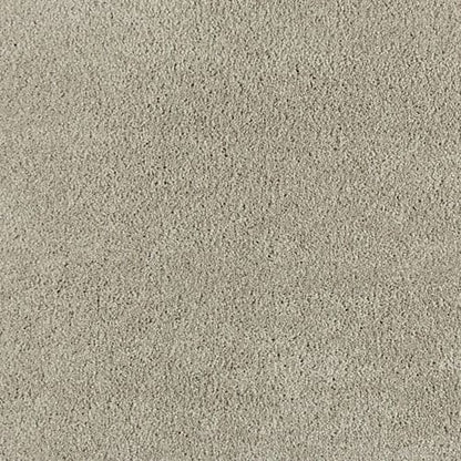 Polished Shades II