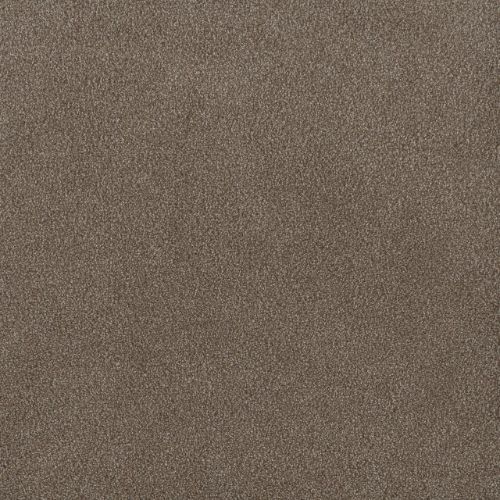 PALMETTO I