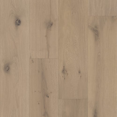 Chateau in Allier Oak