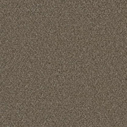 ROYALE I in Fawn Carpet