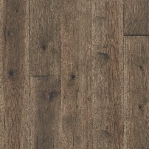 Latitude Collection - Forest Park in Twig Hardwood