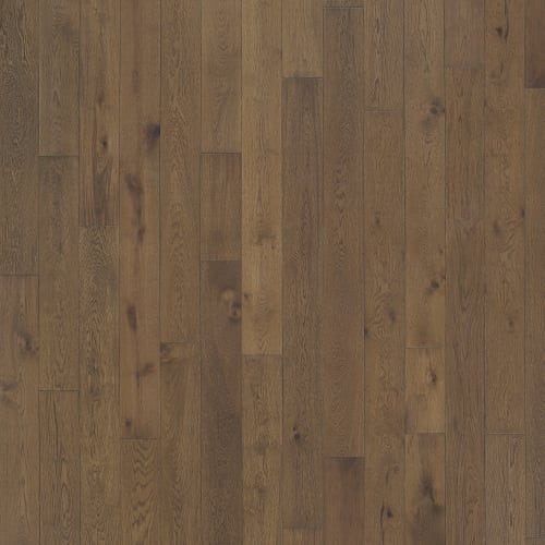 Latitude Collection - Latitude Collection in Trail