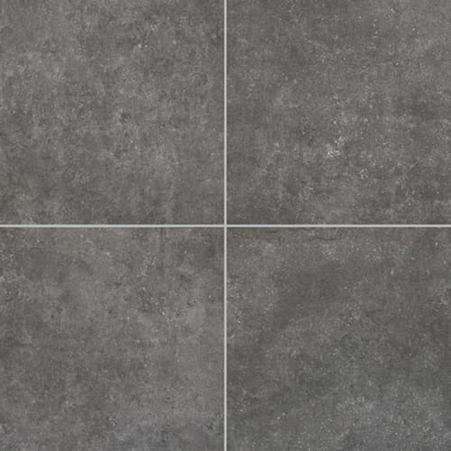 Historic Limestone in Legacy-24x48-Matte Tile