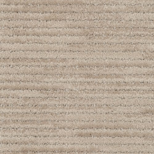 Imagine in Charming Carpet