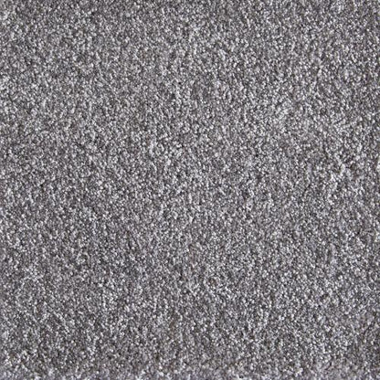 Jazzy in Chrome Carpet