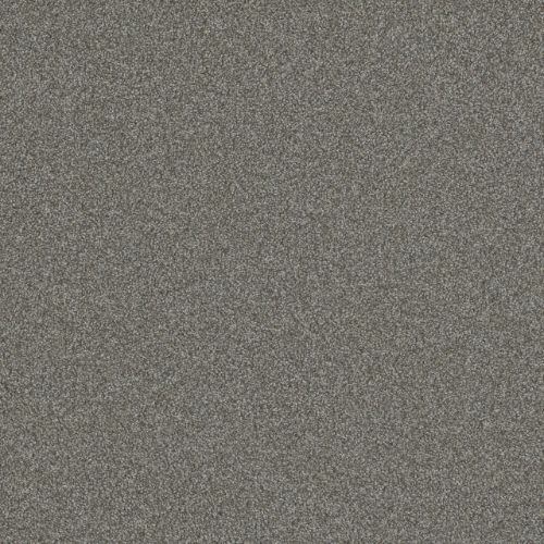 BLAZER I in Jadestone Carpet