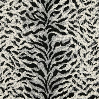 King Tiger in Tuxedo Carpet