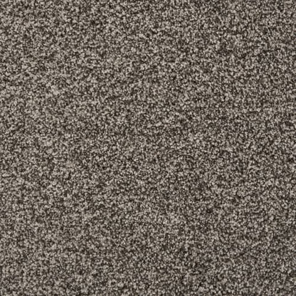 Knights Tale II in Cinder Carpet