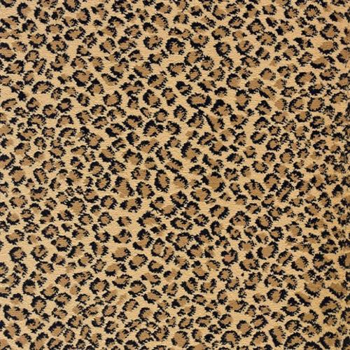 Lake Collection - Lake Safari