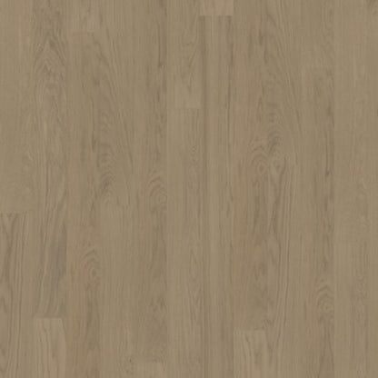 Life Collection in Driftwood Wide