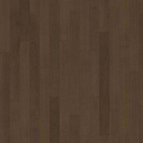 Life Collection in Cocoa Bean Narrow