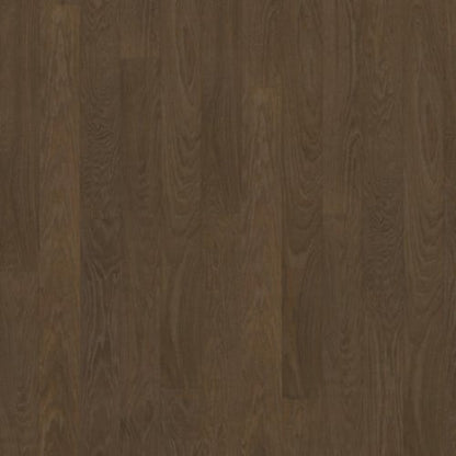 Life Collection in Cocoa Bean Wide