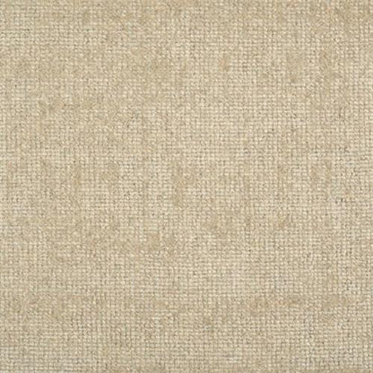 Minka in Pearl Carpet