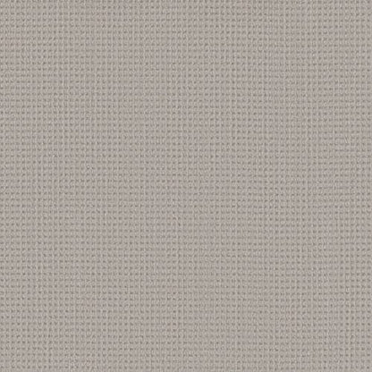 Finely Detailed