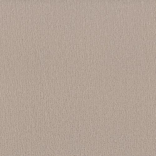 Studio Set in Twine Carpet