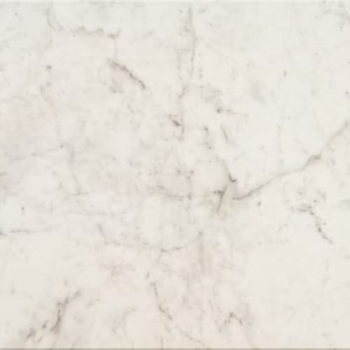 Mythique Marble in Altissimo-24x24.3125-Matte Tile