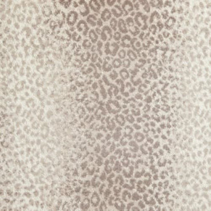 Mufasa in Praline Carpet