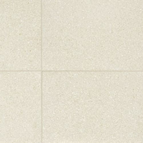 Neospeck in White-12x24-Matte Tile
