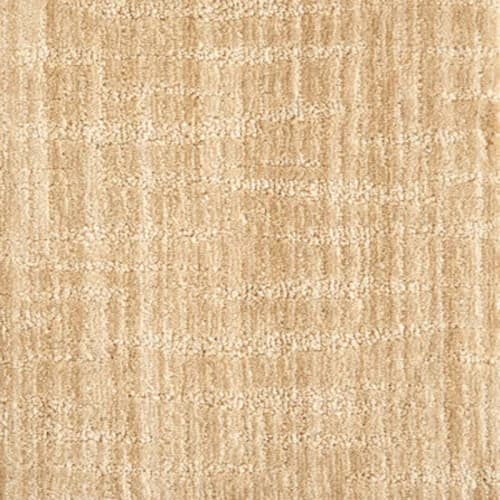 Novelty in Beige Carpet