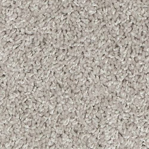 Authentic Voice in Suede Carpet