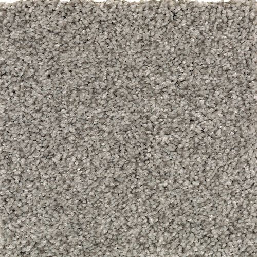 Tonal Chic I
