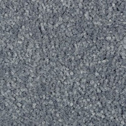 Elegant Appeal III