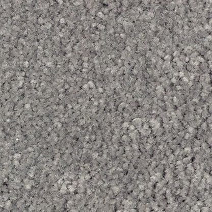 Elegant Appeal III