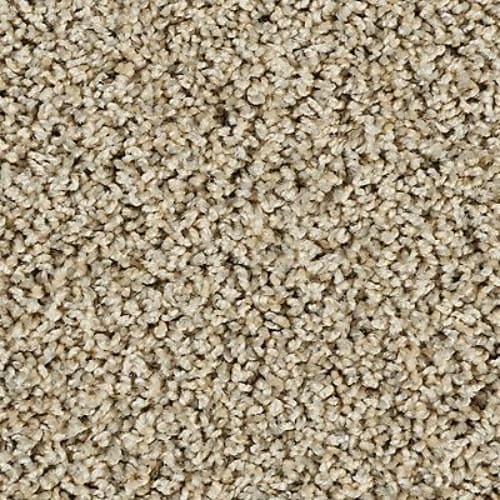 Sleek Tones in Greige Carpet