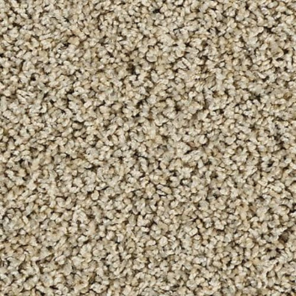 Sleek Tones in Greige Carpet
